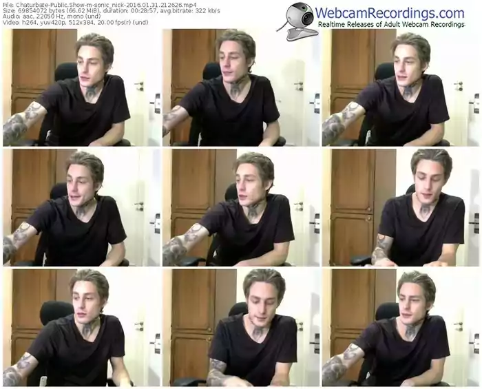 chaturbate-sonic_nick-webcam-show-01_31_2016-21_26_26