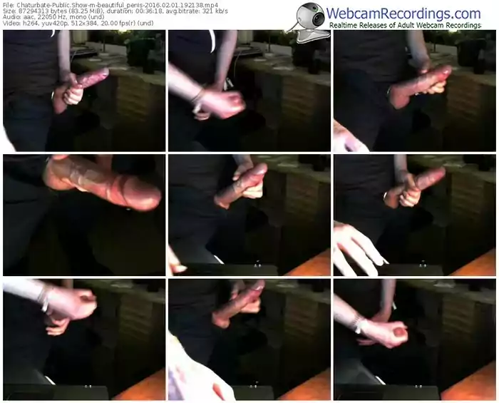 chaturbate-beautiful_penis-webcam-show-02_01_2016-19_21_38
