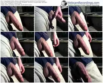 chaturbate-beautiful_penis-webcam-show-02_01_2016-22_41_50