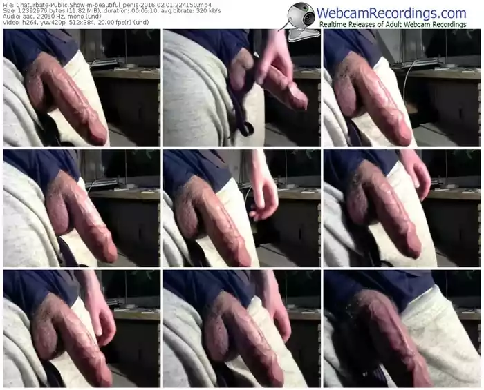 chaturbate-beautiful_penis-webcam-show-02_01_2016-22_41_50