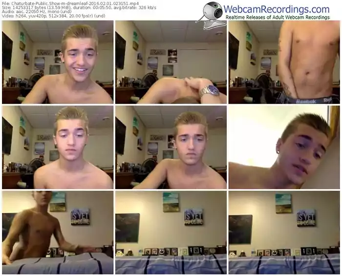 chaturbate-dreamleaf-webcam-show-02_01_2016-02_31_51