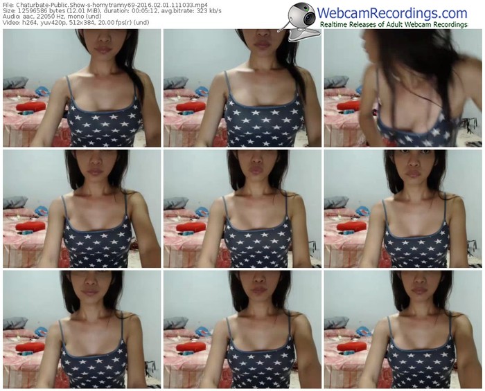 chaturbate-hornytranny69-webcam-show-02_01_2016-11_10_33