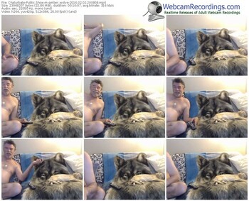chaturbate-amber_wolve-webcam-show-02_02_2016-20_08_08