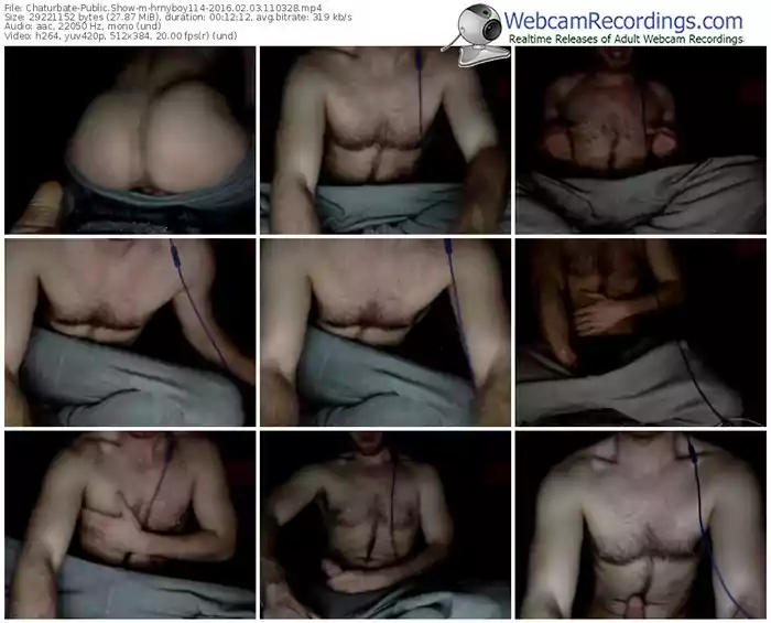 chaturbate-hrnyboy114-webcam-show-02_03_2016-11_03_28