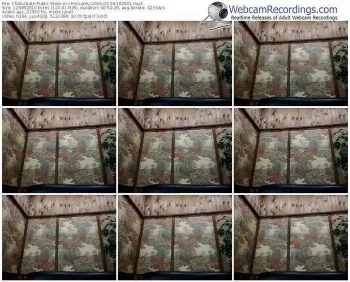 chaturbate-chriscarey-webcam-show-02_06_2016-18_25_01