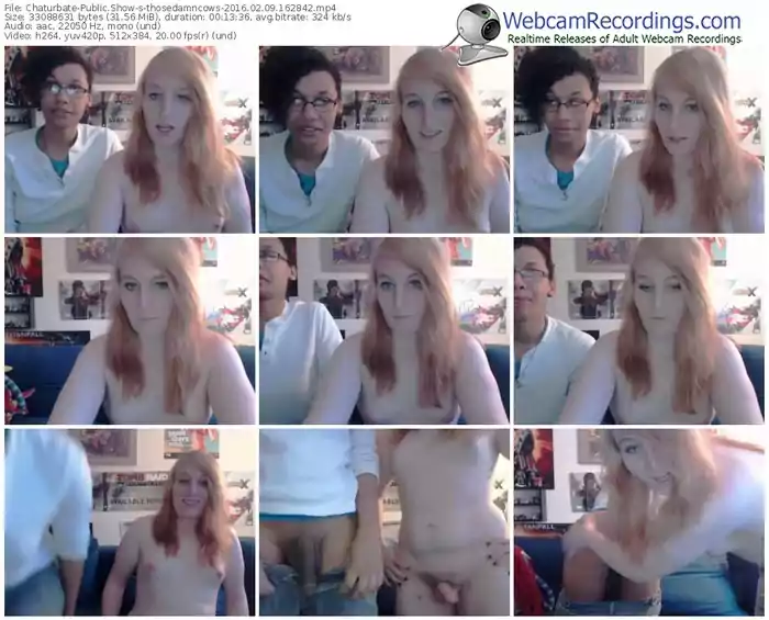 chaturbate-thosedamncows-webcam-show-02_09_2016-16_28_42