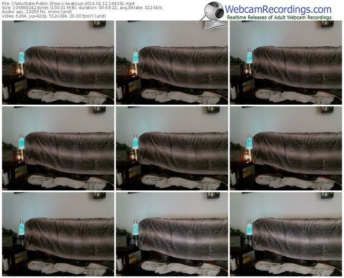 chaturbate-twaticus-webcam-show-02_12_2016-16_42_41