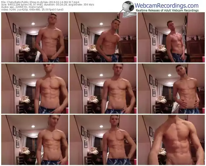 chaturbate-dylsev-webcam-show-02_14_2016-06_13_17