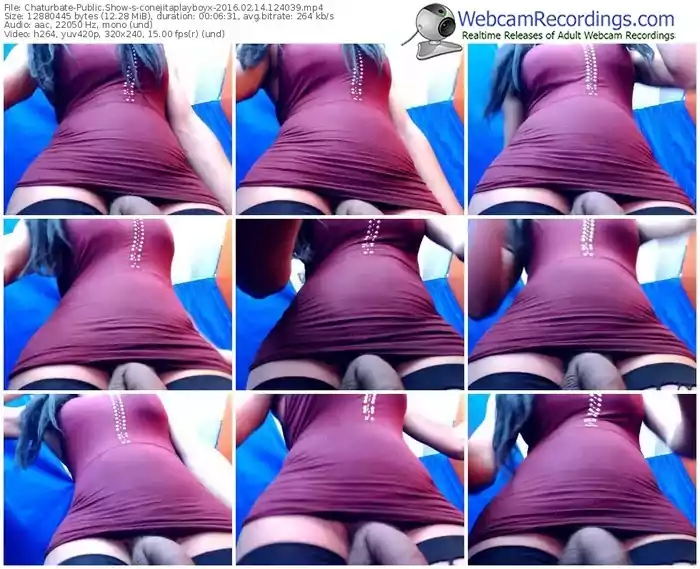 chaturbate-conejitaplayboyx-webcam-show-02_14_2016-12_40_39