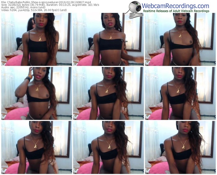 chaturbate-spicyseducer-webcam-show-02_28_2016-19_08_27
