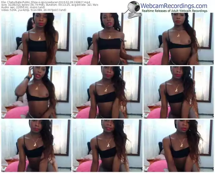 chaturbate-spicyseducer-webcam-show-02_28_2016-19_08_27