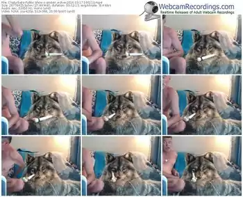 chaturbate-amber_wolve-webcam-show-03_17_2016-19_51_10