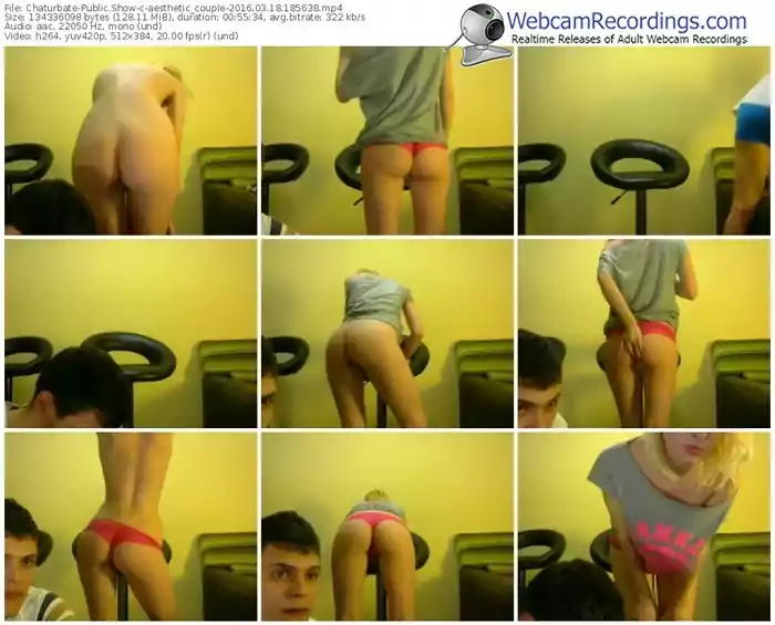 chaturbate-aesthetic_couple-webcam-show-03_18_2016-18_56_38
