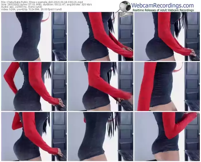 chaturbate-pamela_doll-webcam-show-03_18_2016-03_01_21