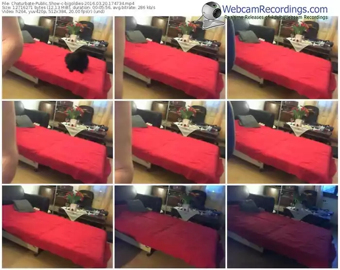 chaturbate-bigoldies-webcam-show-03_20_2016-17_47_34