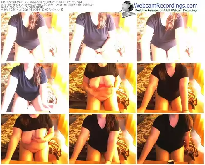 chaturbate-sindy_wet-webcam-show-03_21_2016-12_37_55