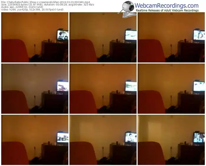 chaturbate-creampielickher-webcam-show-03_23_2016-00_03_40