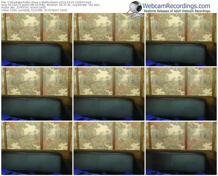 chaturbate-shelbyolsenx-webcam-show-03_25_2016-16_39_04