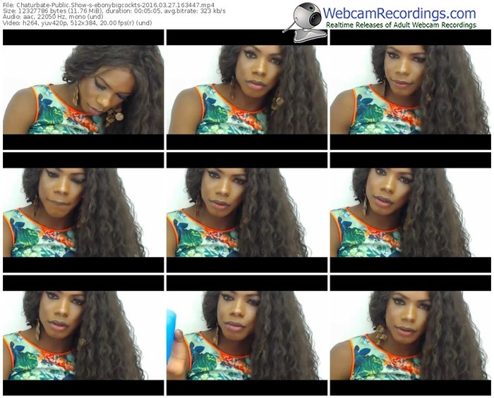 chaturbate-ebonybigcockts-webcam-show-03_27_2016-16_34_47