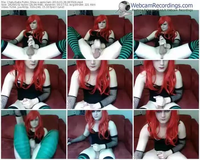 chaturbate-aeroclam-webcam-show-03_28_2016-08_35_06