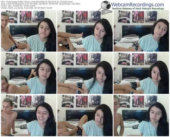 chaturbate-harolanddavid-webcam-show-04_01_2016-16_33_42