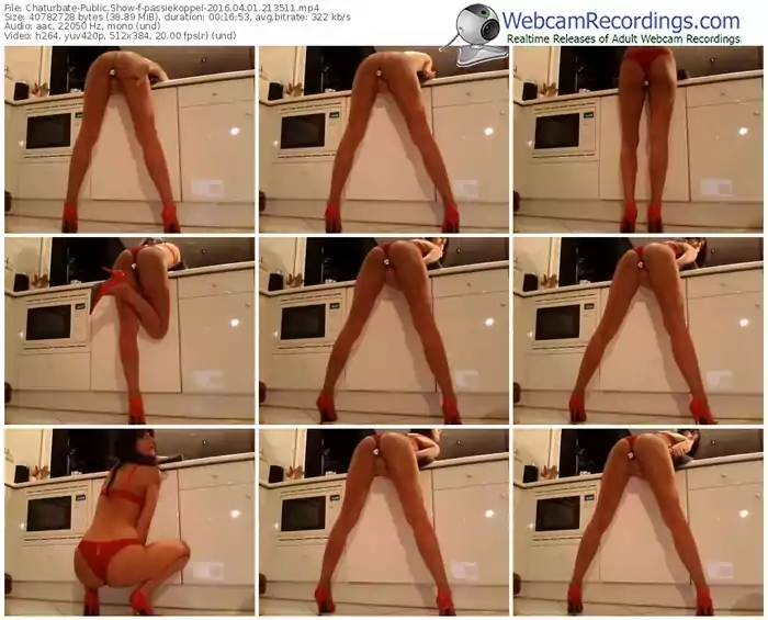 chaturbate-passiekoppel-webcam-show-04_01_2016-21_35_11