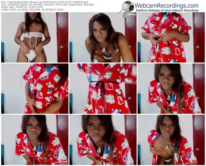 chaturbate-exoticbitchx4u-webcam-show-04_01_2016-10_56_44