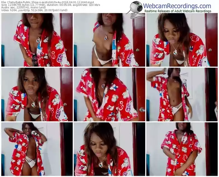 chaturbate-exoticbitchx4u-webcam-show-04_01_2016-11_16_40