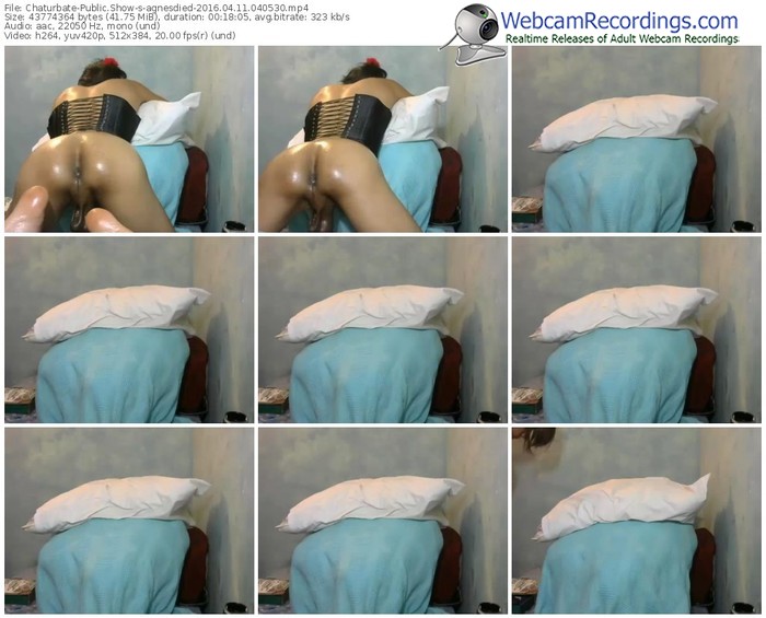 chaturbate-agnesdied-webcam-show-04_11_2016-04_05_30