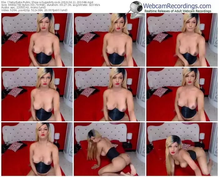 chaturbate-hugedirtycock-webcam-show-04_11_2016-20_10_48