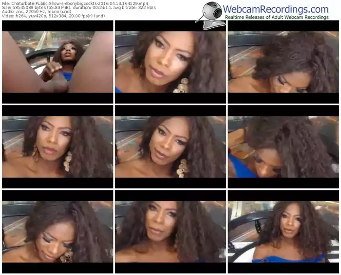 chaturbate-ebonybigcockts-webcam-show-04_13_2016-16_41_29