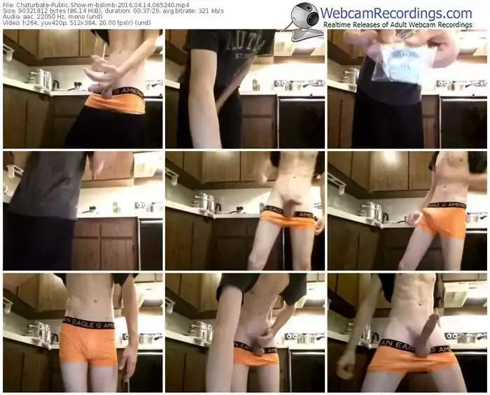 chaturbate-bslimb-webcam-show-04_14_2016-06_52_40