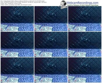 chaturbate-3bigcockhotxxx-webcam-show-04_14_2016-07_32_59