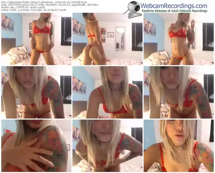 chaturbate-sofialaren_-webcam-show-04_16_2016-14_43_38