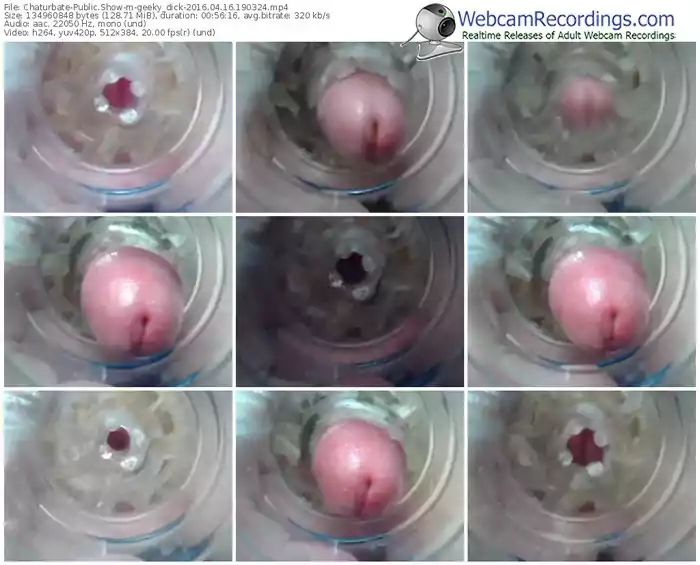 chaturbate-geeky_dick-webcam-show-04_16_2016-19_03_24