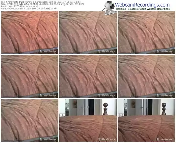 chaturbate-aarpcouple1000-webcam-show-04_17_2016-18_10_42