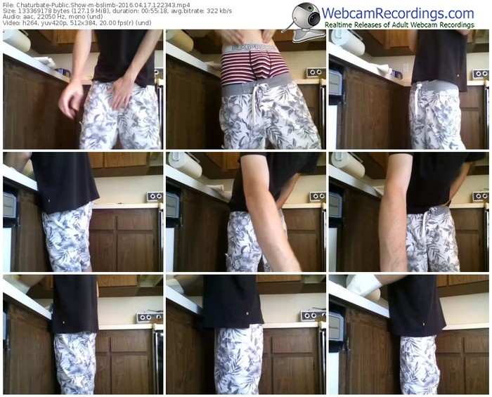 chaturbate-bslimb-webcam-show-04_17_2016-12_23_43