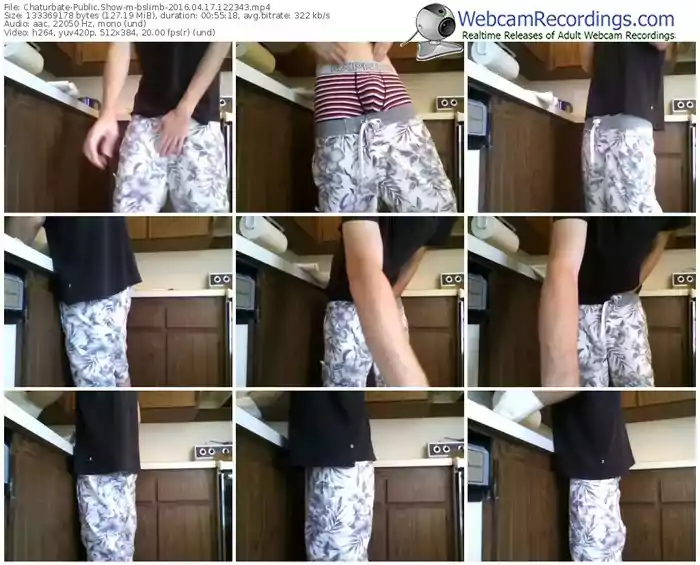 chaturbate-bslimb-webcam-show-04_17_2016-12_23_43