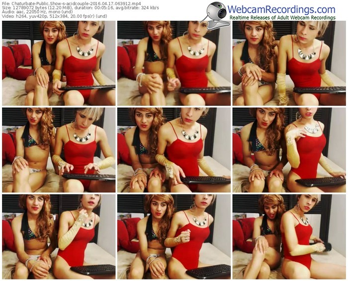 chaturbate-acidcouple-webcam-show-04_17_2016-06_39_12