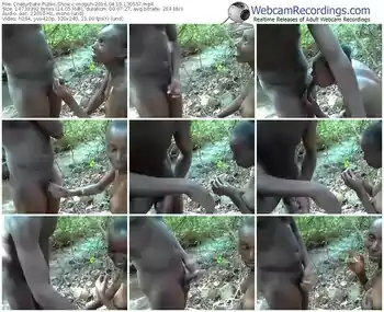 chaturbate-moguh-webcam-show-04_19_2016-13_05_57