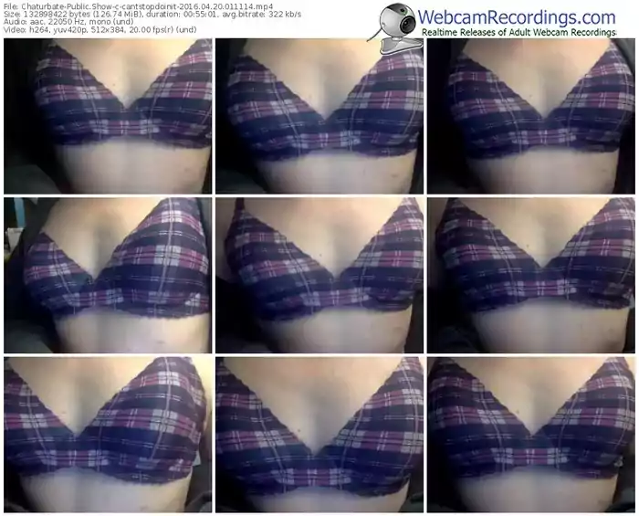 chaturbate-cantstopdoinit-webcam-show-04_20_2016-01_11_14