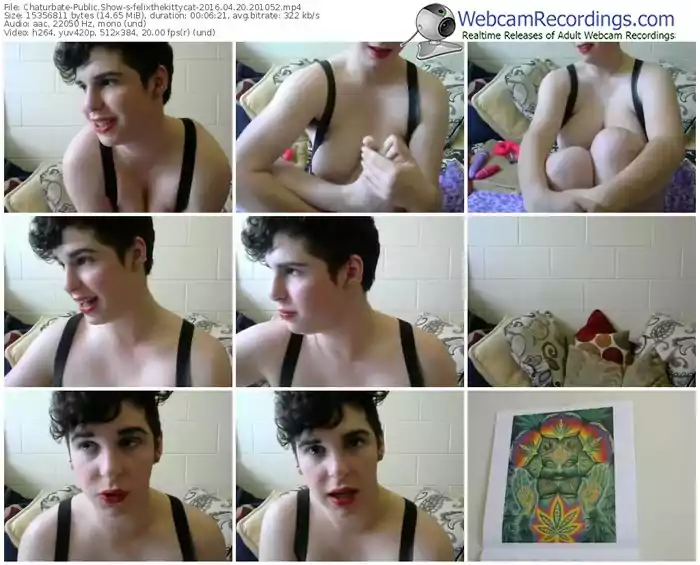 chaturbate-felixthekittycat-webcam-show-04_20_2016-20_10_52