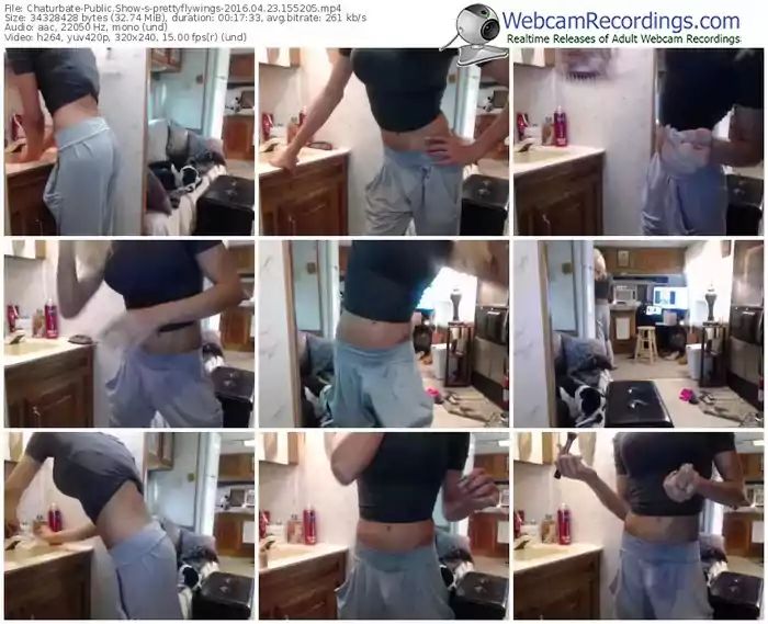 chaturbate-prettyflywings-webcam-show-04_23_2016-15_52_05