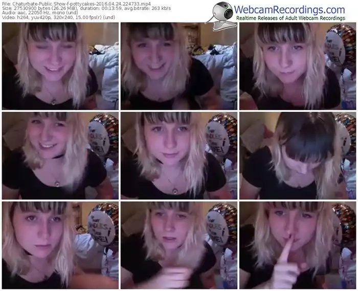 chaturbate-pottycakes-webcam-show-04_24_2016-22_47_33