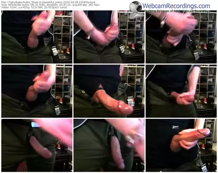 chaturbate-beautiful_penis-webcam-show-04_28_2016-22_54_56
