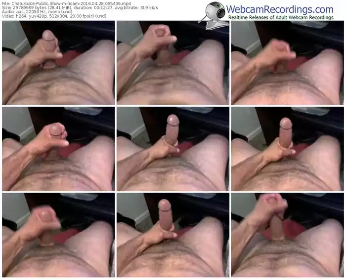 chaturbate-licam-webcam-show-04_28_2016-06_54_39