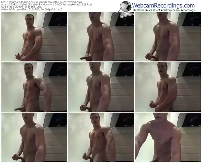 chaturbate-partizzzan-webcam-show-04_28_2016-20_29_54