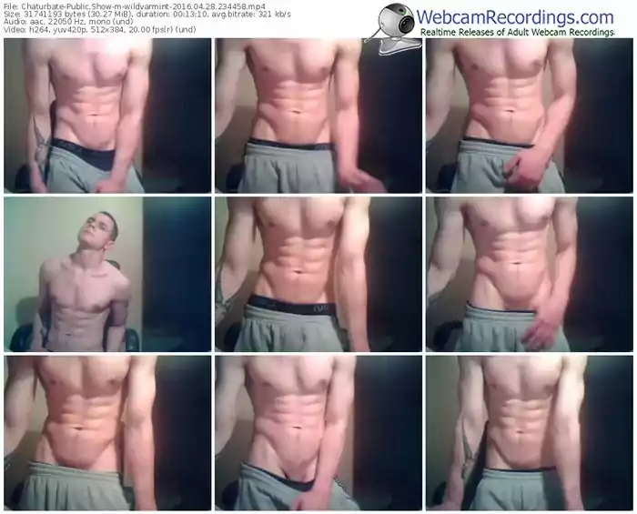 chaturbate-wildvarmint-webcam-show-04_28_2016-23_44_58