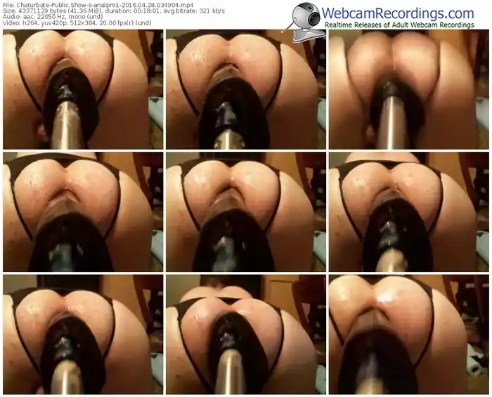 chaturbate-analpro1-webcam-show-04_28_2016-03_49_04