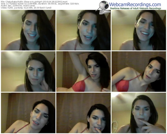 chaturbate-ts_pinkgirl-webcam-show-04_28_2016-02_29_02